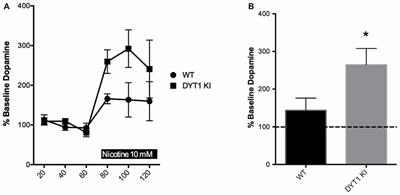 Evaluation of AZD1446 as a Therapeutic in DYT1 Dystonia